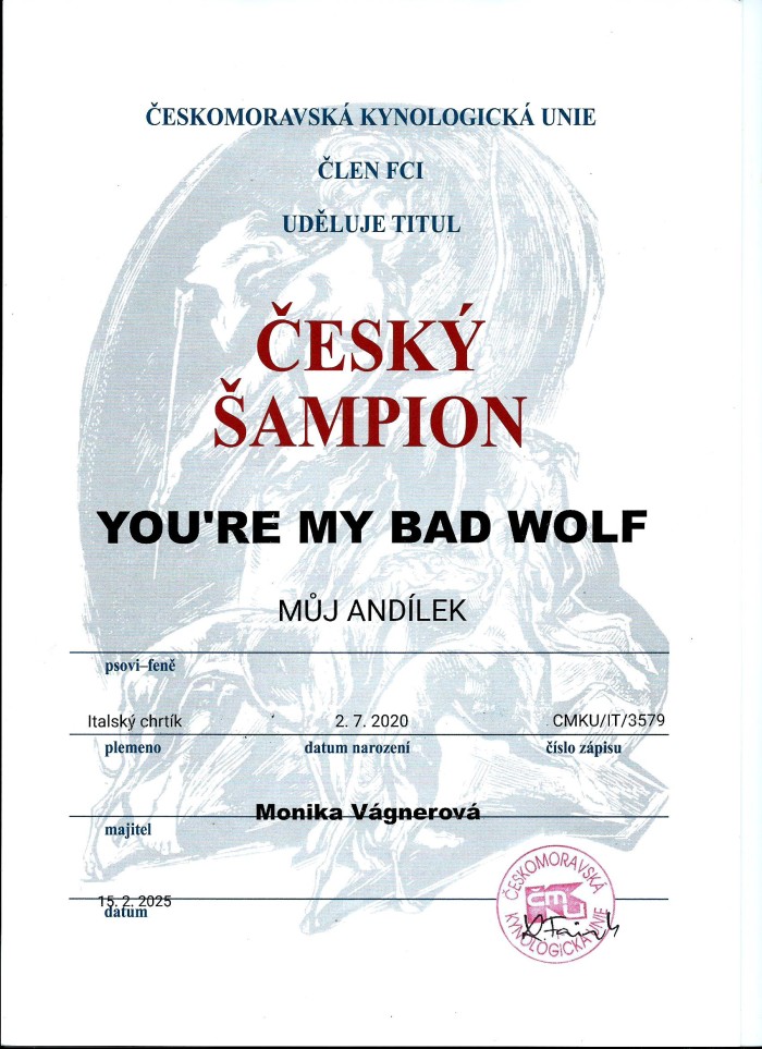 you-re-my-bad-wolf-muj-andilek-cesky-sampion.jpg